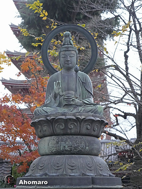 写真00