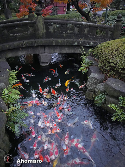 写真00