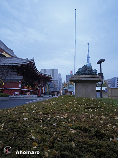 写真00