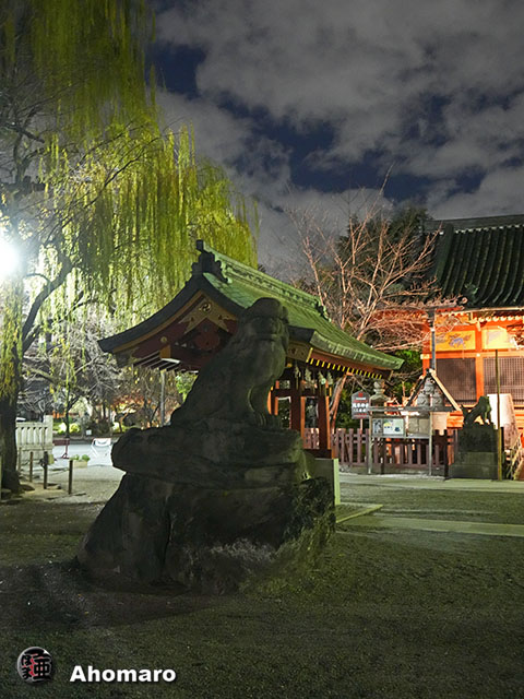 写真00
