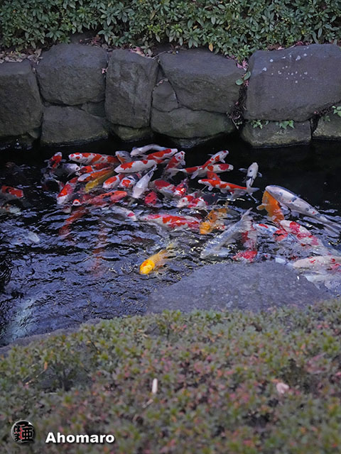 写真00