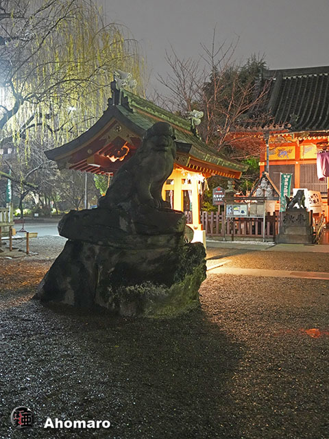 写真00