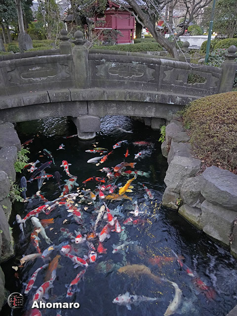 写真00