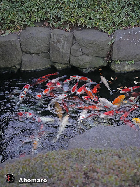 写真00
