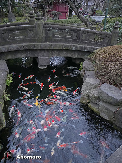 写真00