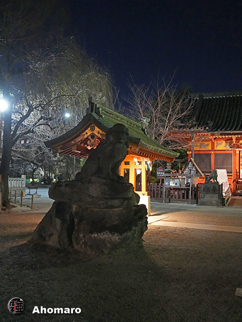 写真00