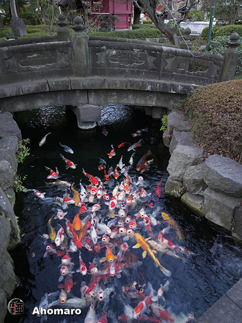 写真00