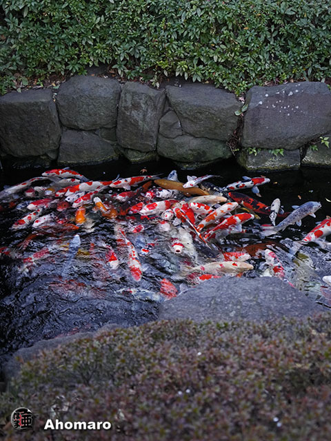 写真00