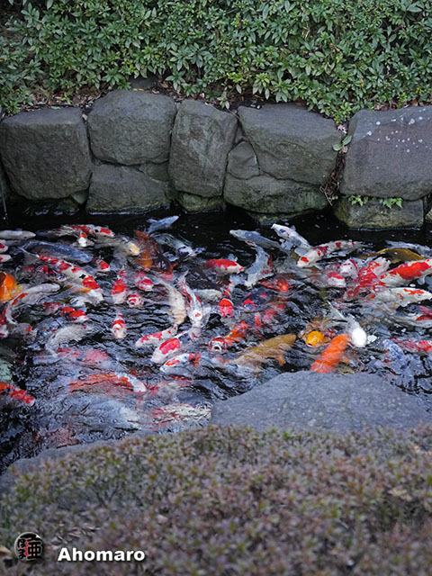 写真00
