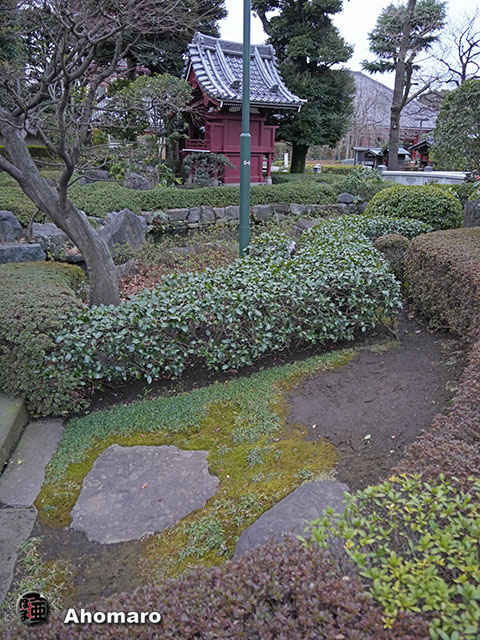 写真00
