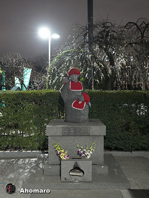 写真00