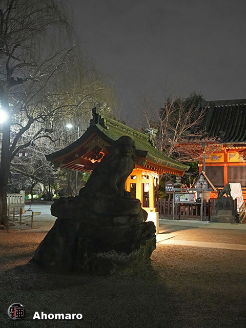 写真00