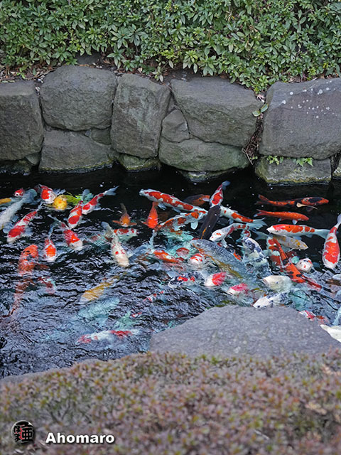 写真00