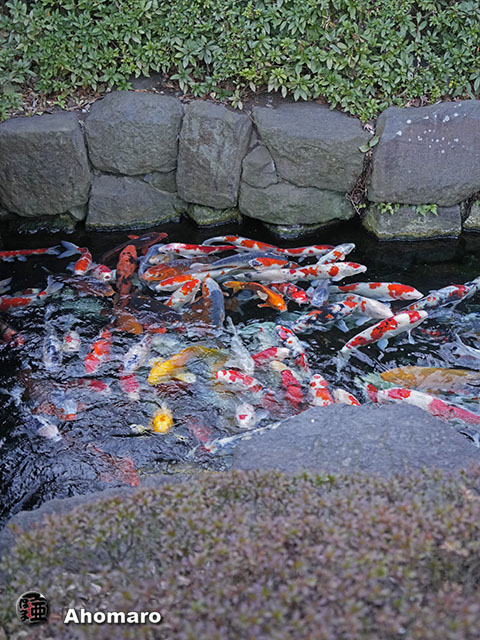 写真00