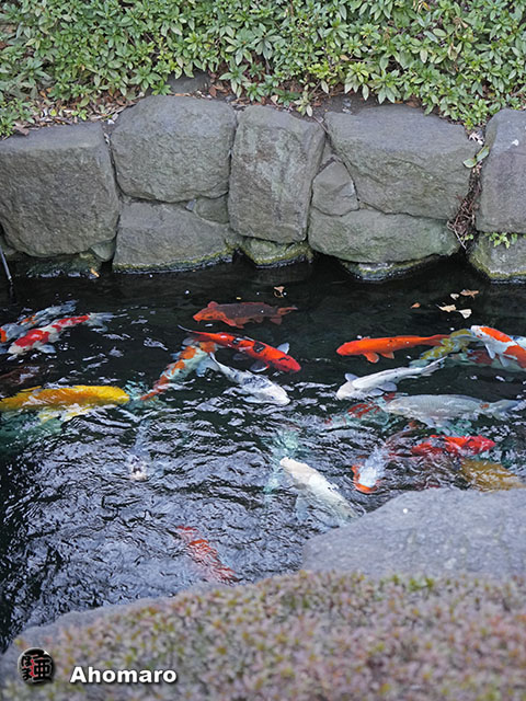 写真00
