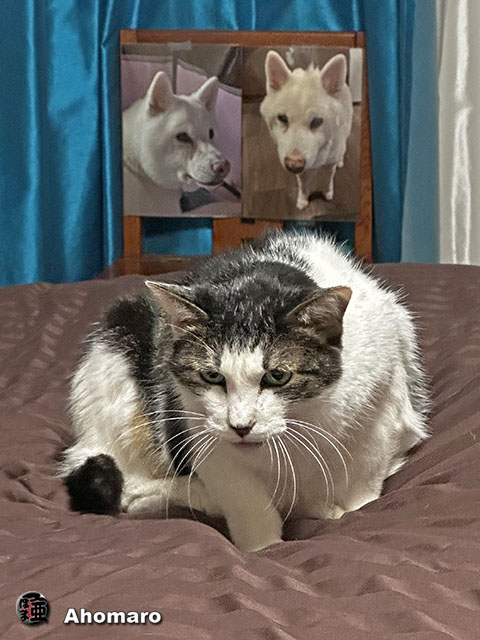ʐ^00
