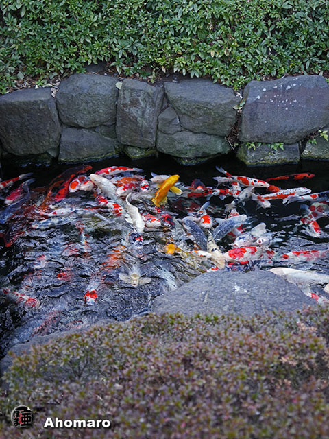 写真00