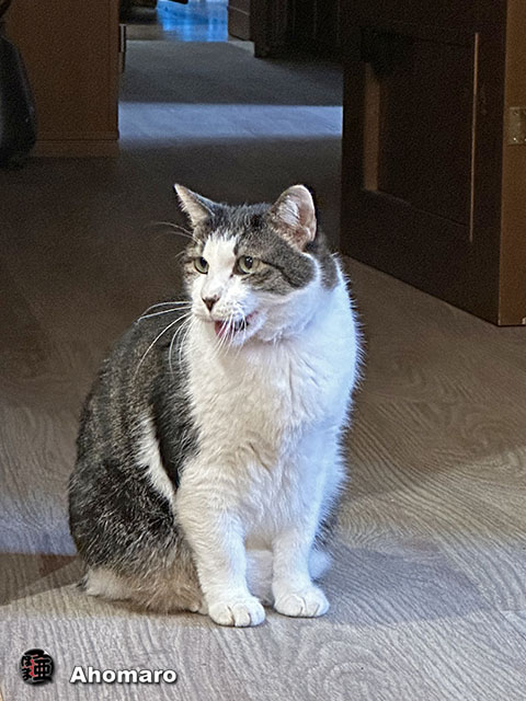 ʐ^00