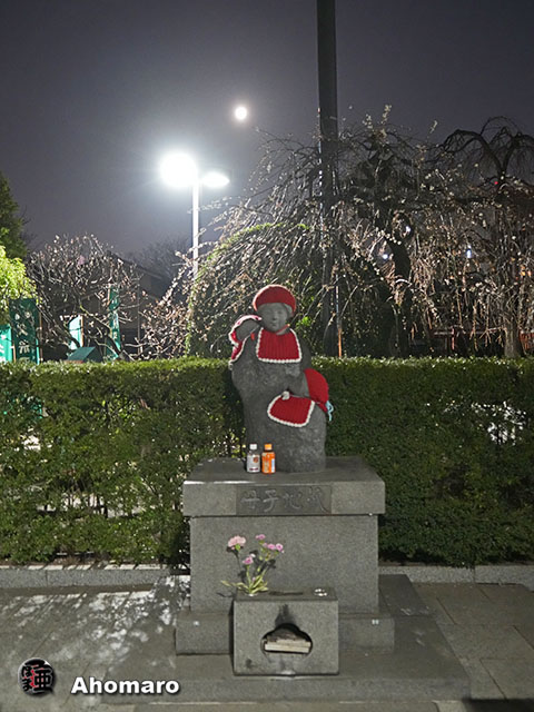 写真00