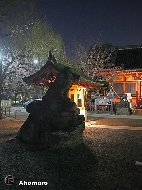 写真00