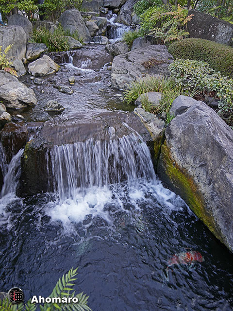 写真00