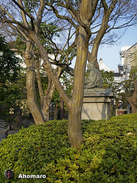 写真00