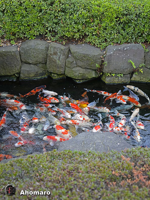 写真00