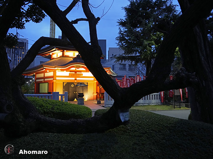 写真00