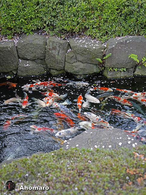 写真00