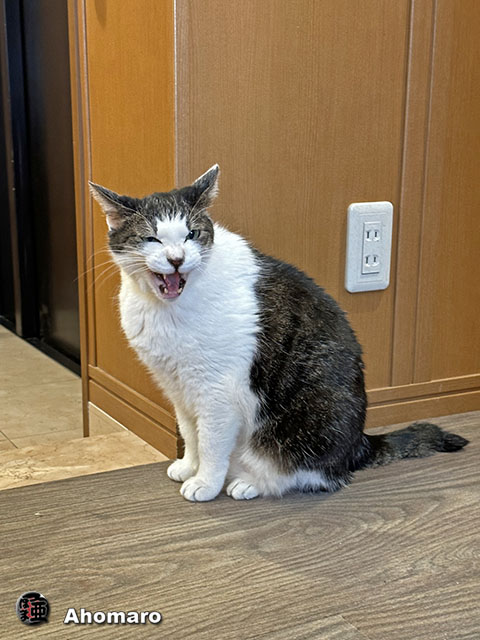 ʐ^00