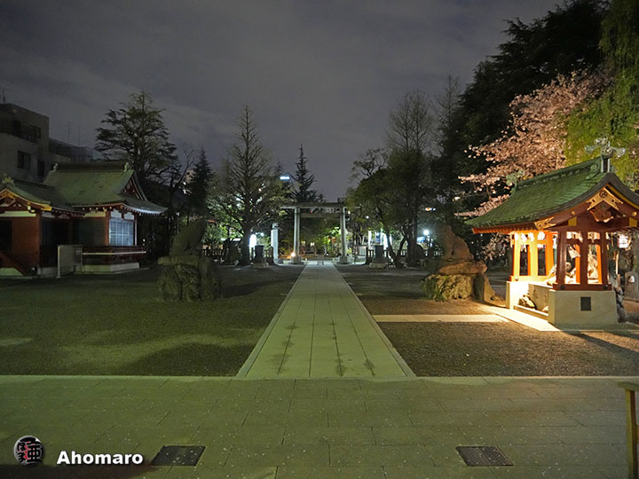 写真00