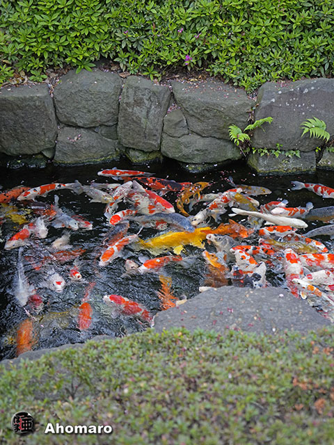 写真00