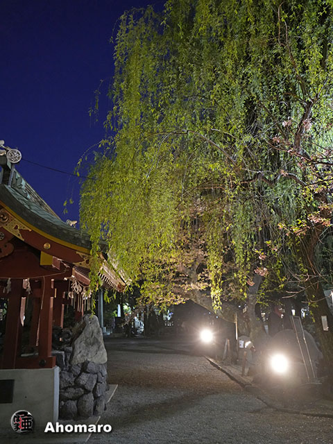 写真00