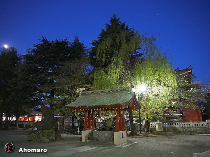 写真00