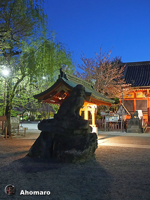 写真00