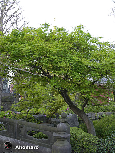 写真00