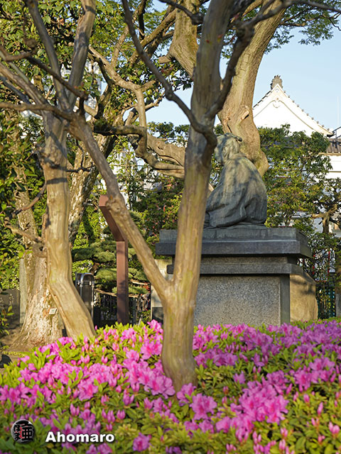 写真00