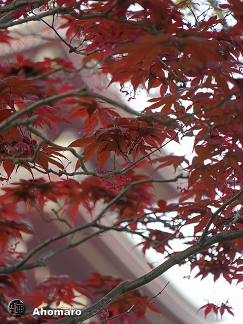 写真00