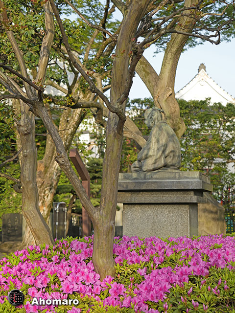 写真00