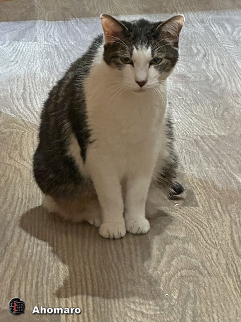 ʐ^00