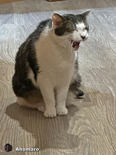 ʐ^00