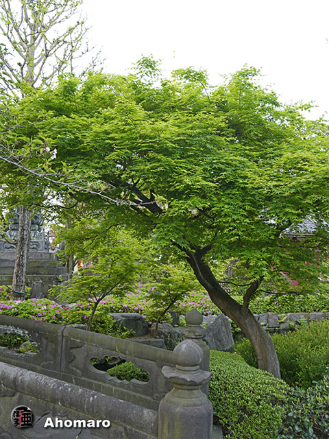 写真00