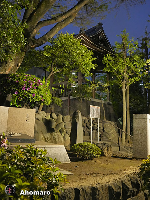 写真00