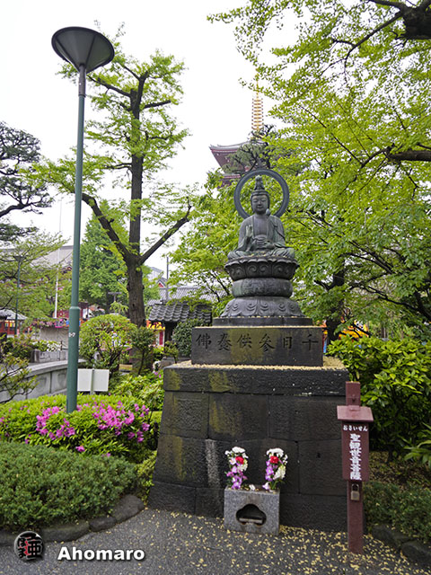 写真00