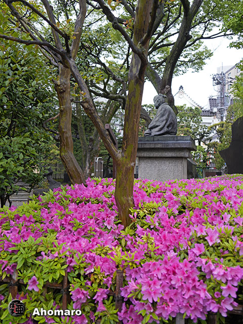 写真00