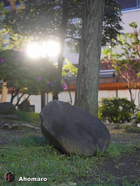 写真00