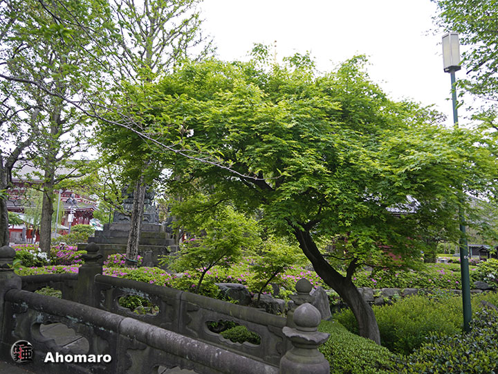 写真00