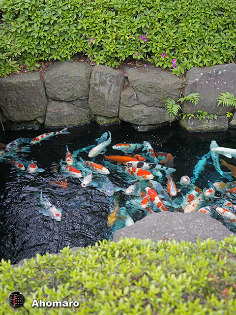 写真00