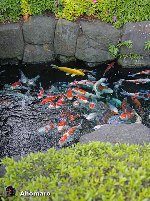 写真00
