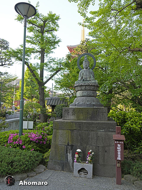 写真00
